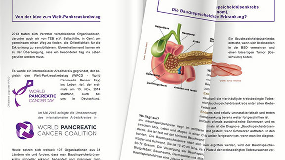 5th World Pancreatic Cancer Day brochure